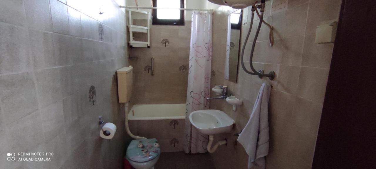 Apartmani Banatski Konak زرنيانين المظهر الخارجي الصورة